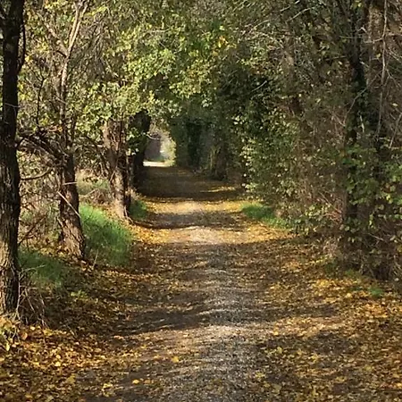 Maison d'hôtes Il Portico Fano