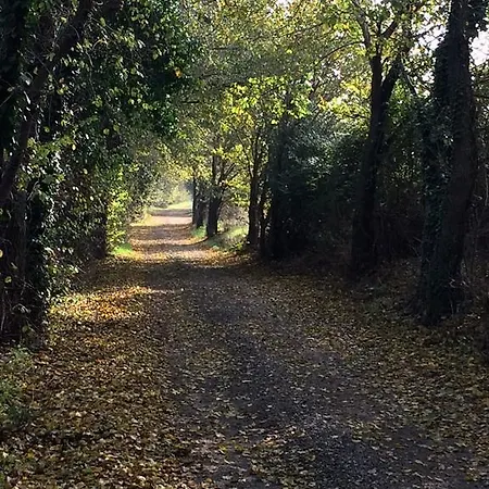 Il Portico 4* פאנו