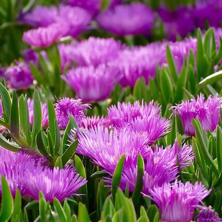 Maison d'hôtes Il Portico